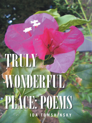 cover image of TRULY WONDERFUL PLACE